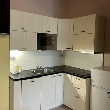 Apartment Party House - Ve Smeckach 18, Center!!